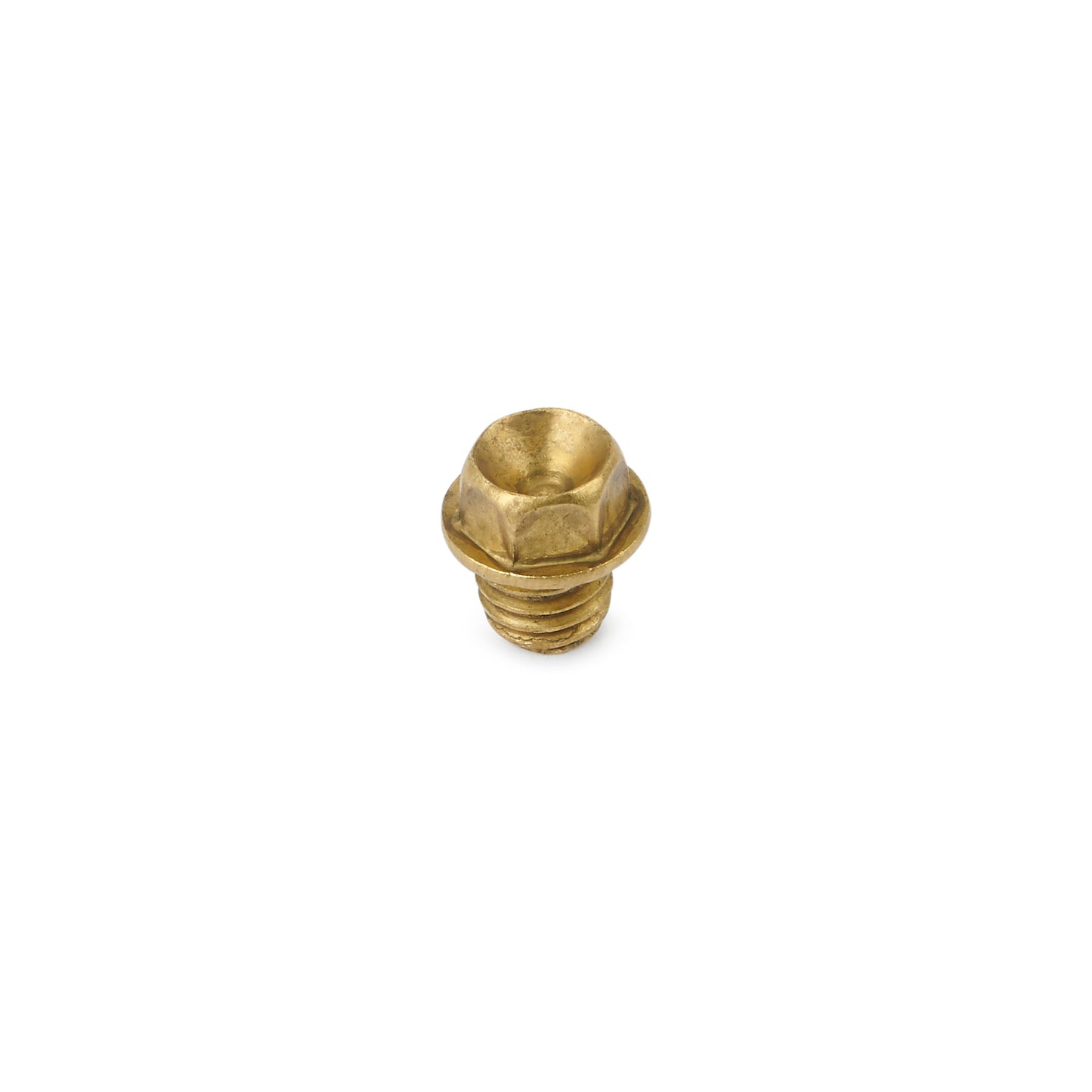 A brass screw is isolated on a white background.