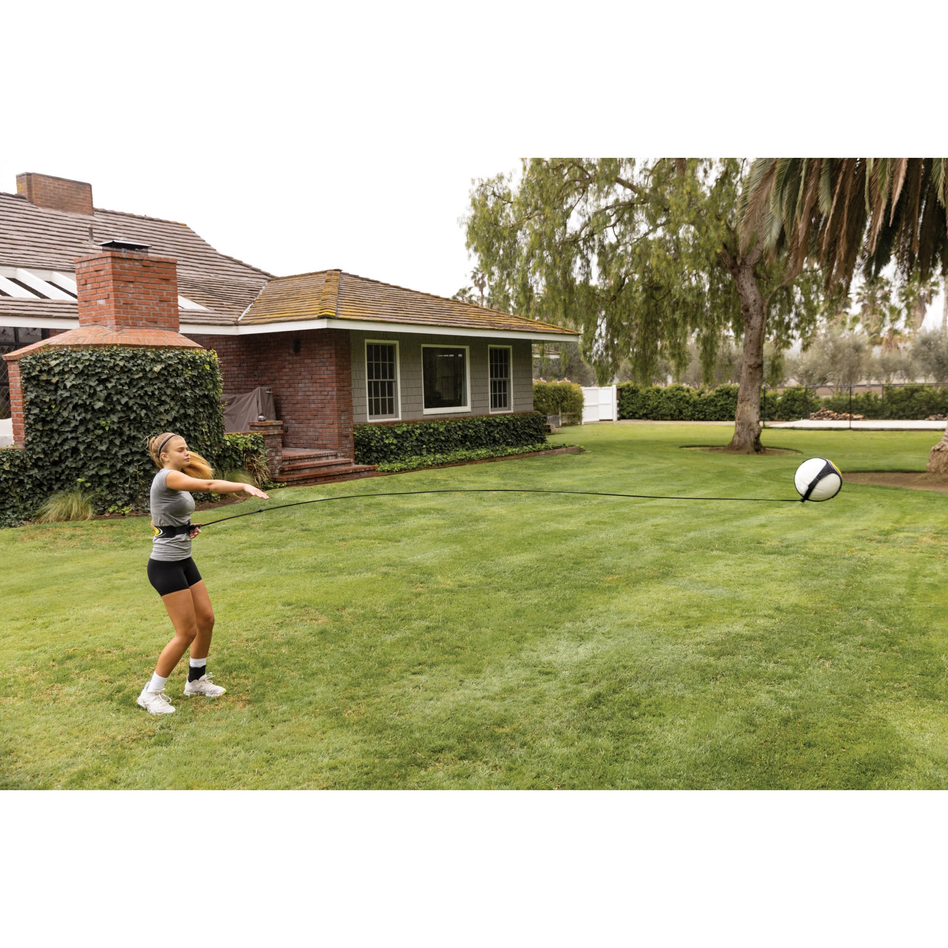 Person pulls a ball on a tether in a backyard lawn