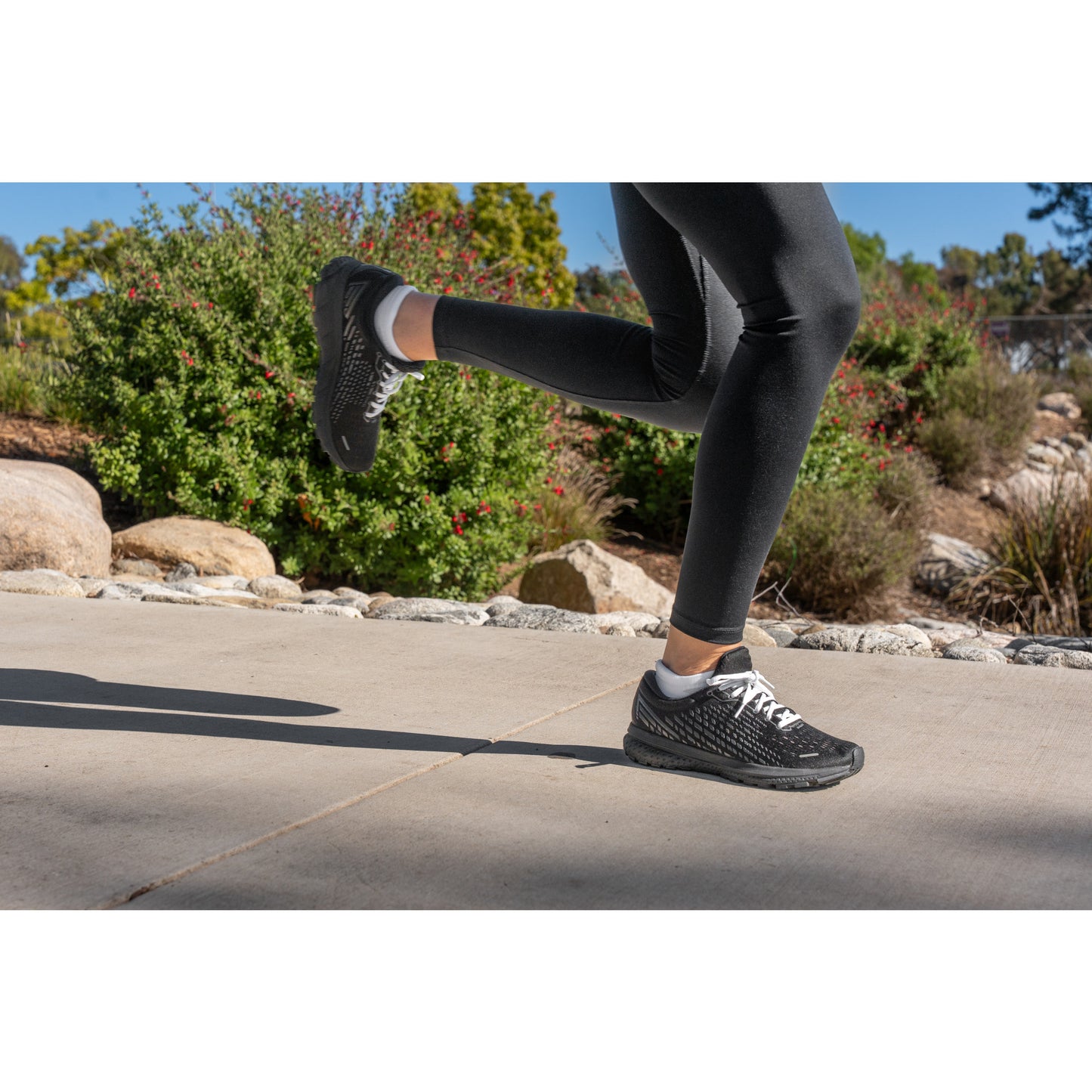 Athletic Oval Laces