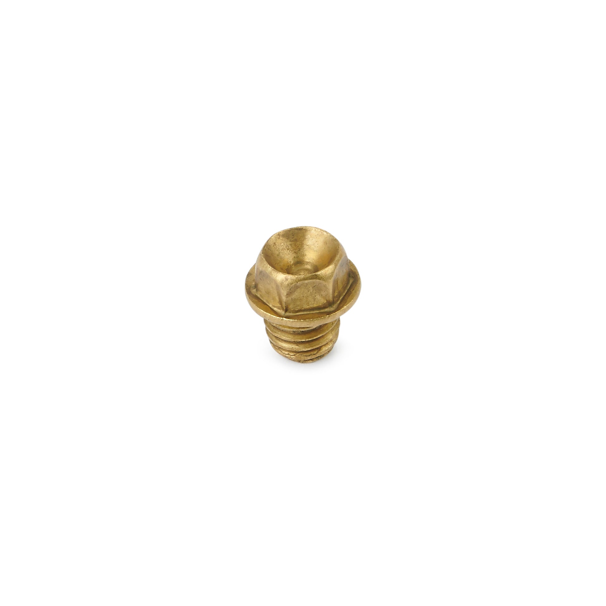 A brass screw is isolated on a white background.