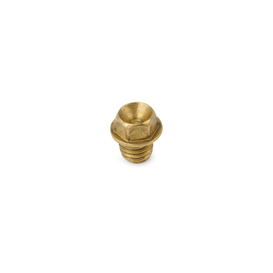 A brass screw is isolated on a white background.