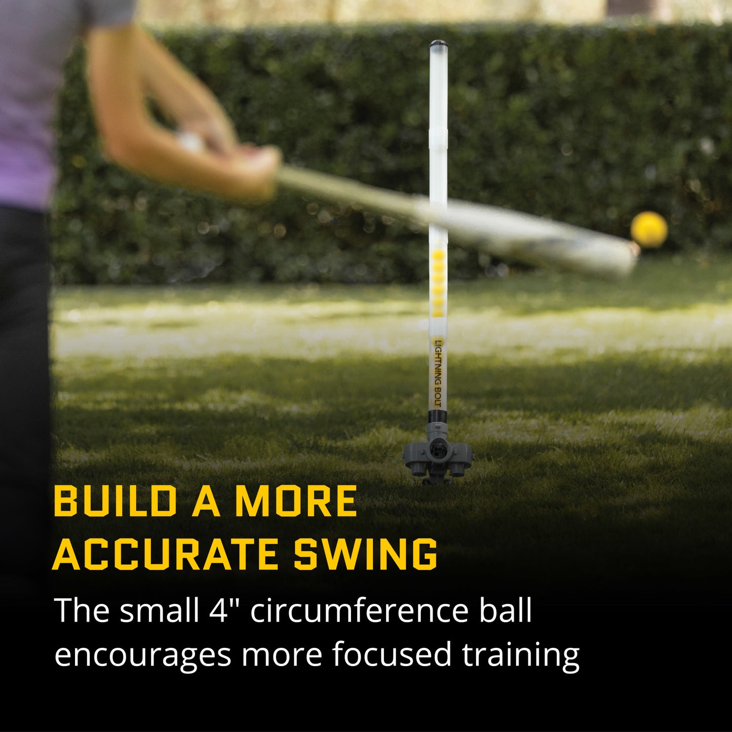 A golf ball on a club encourages focused training in a yard with a hedge background.