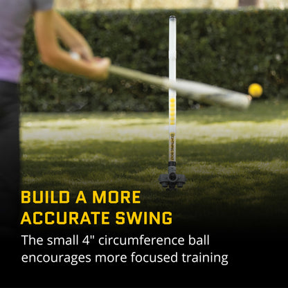 A golf ball on a club encourages focused training in a yard with a hedge background.