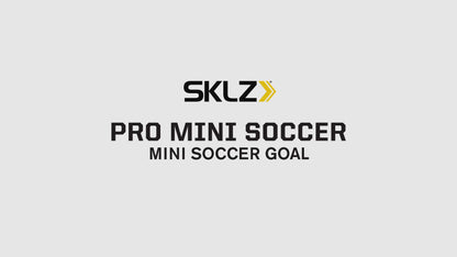 Pro Mini Soccer