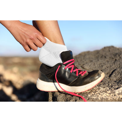 No Show 6pk Womens Socks