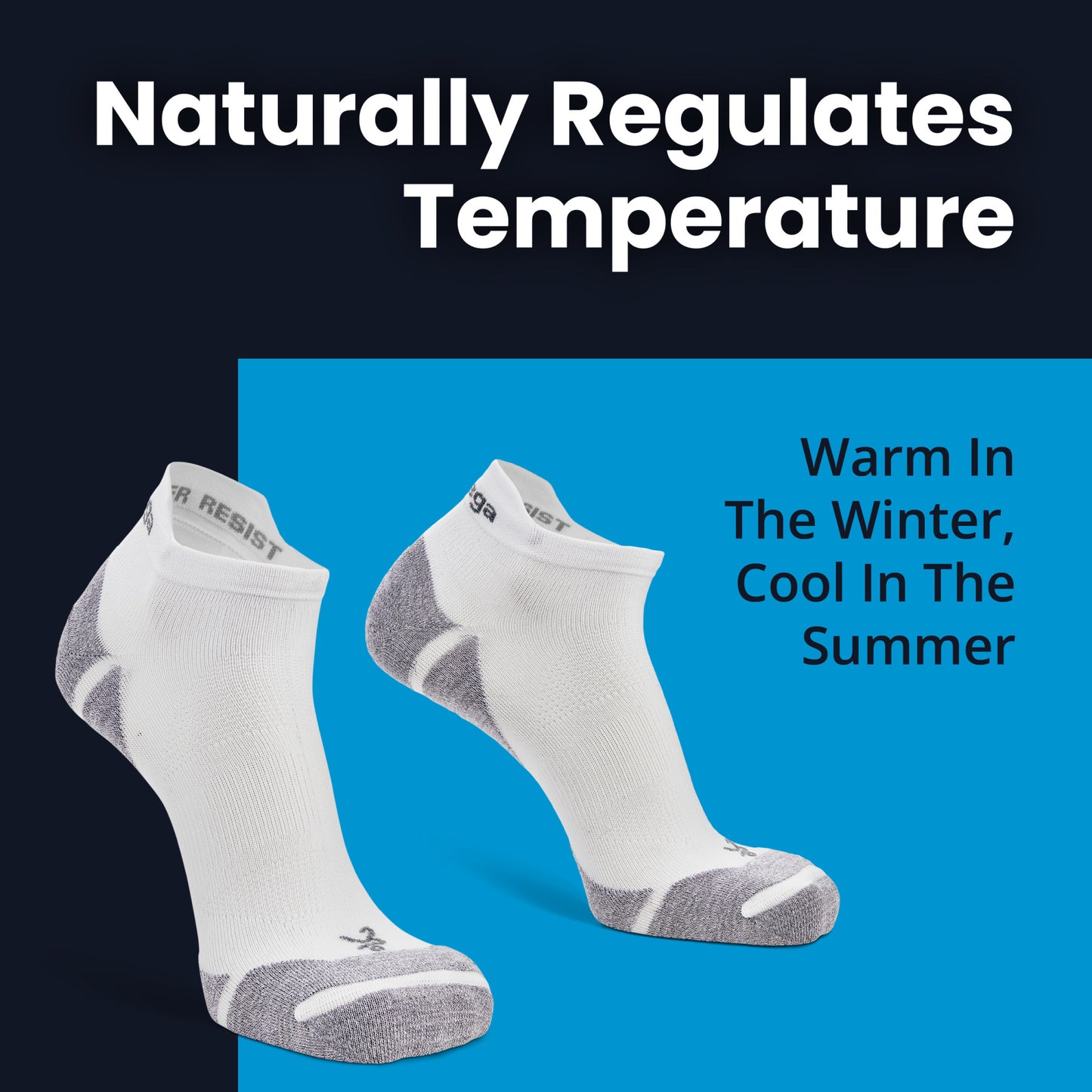 Blister Resist Light No Show