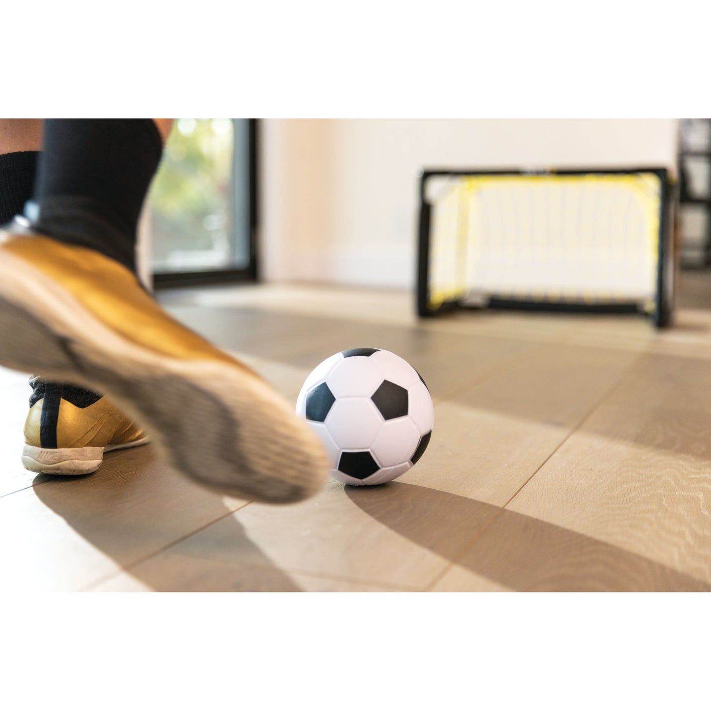 A person kicks a soccer ball indoors near a goal for practice or play activities