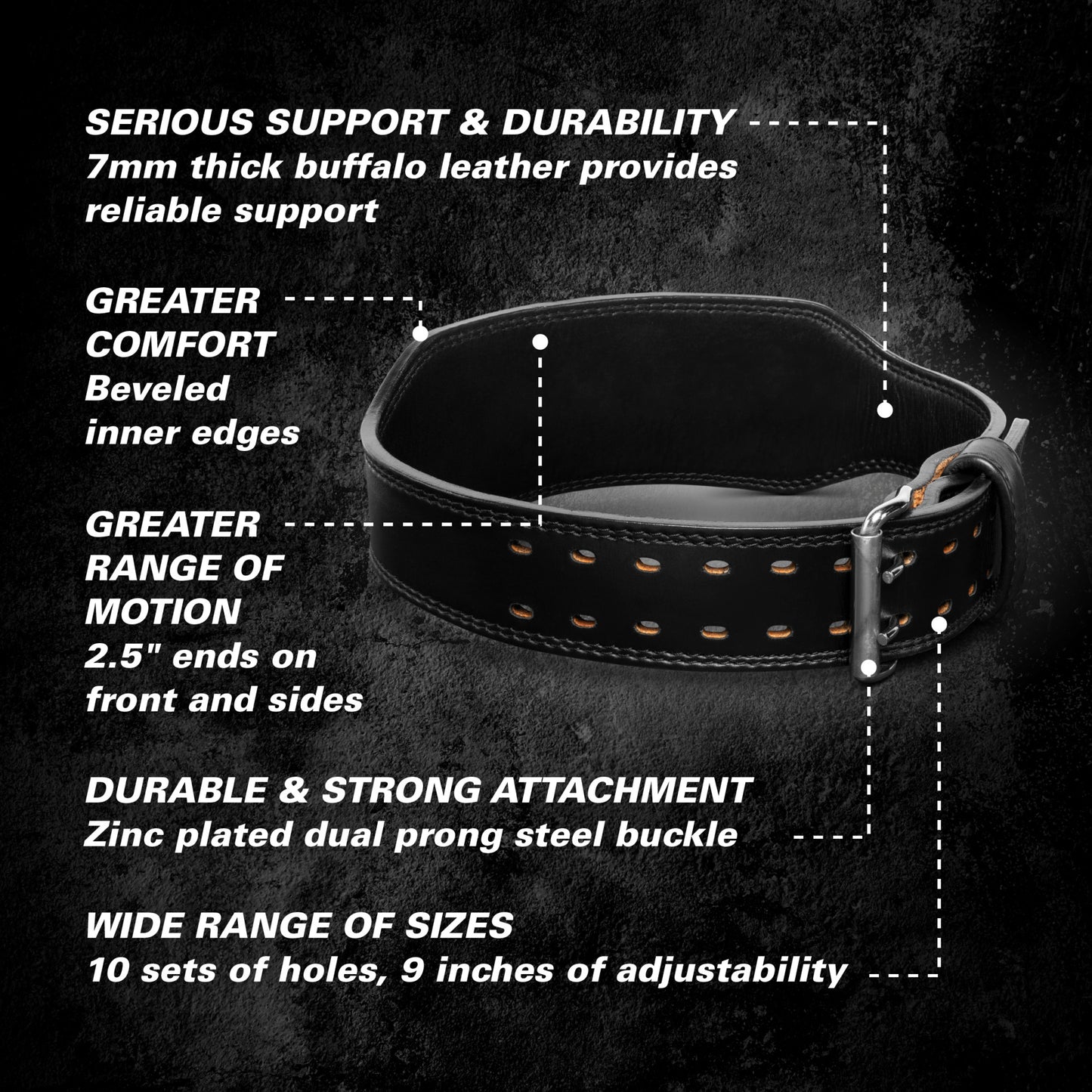 A black leather dog collar with metal buckle and holes, emphasizing durability, comfort, and size adjustability.